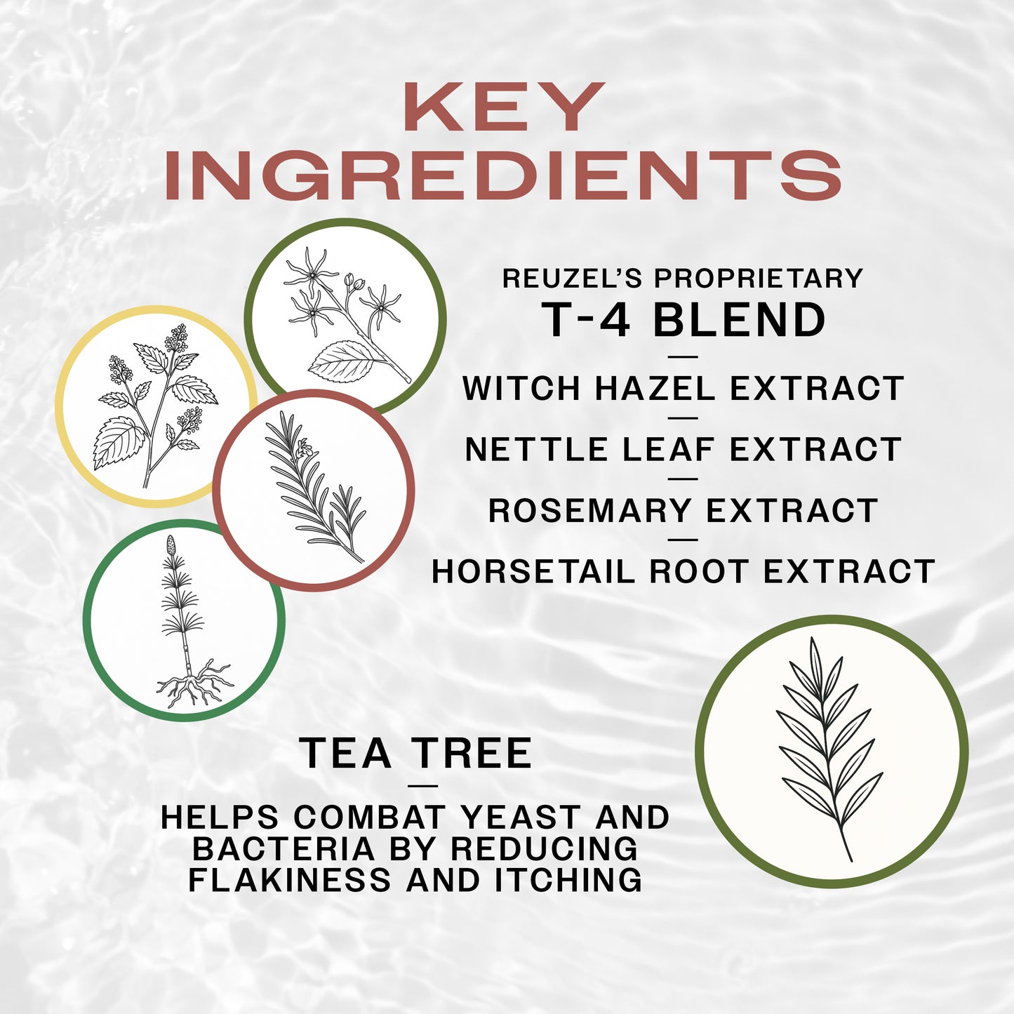 Diagram of key ingredients of Reuzel body wash with illustrations and text on a textured white background