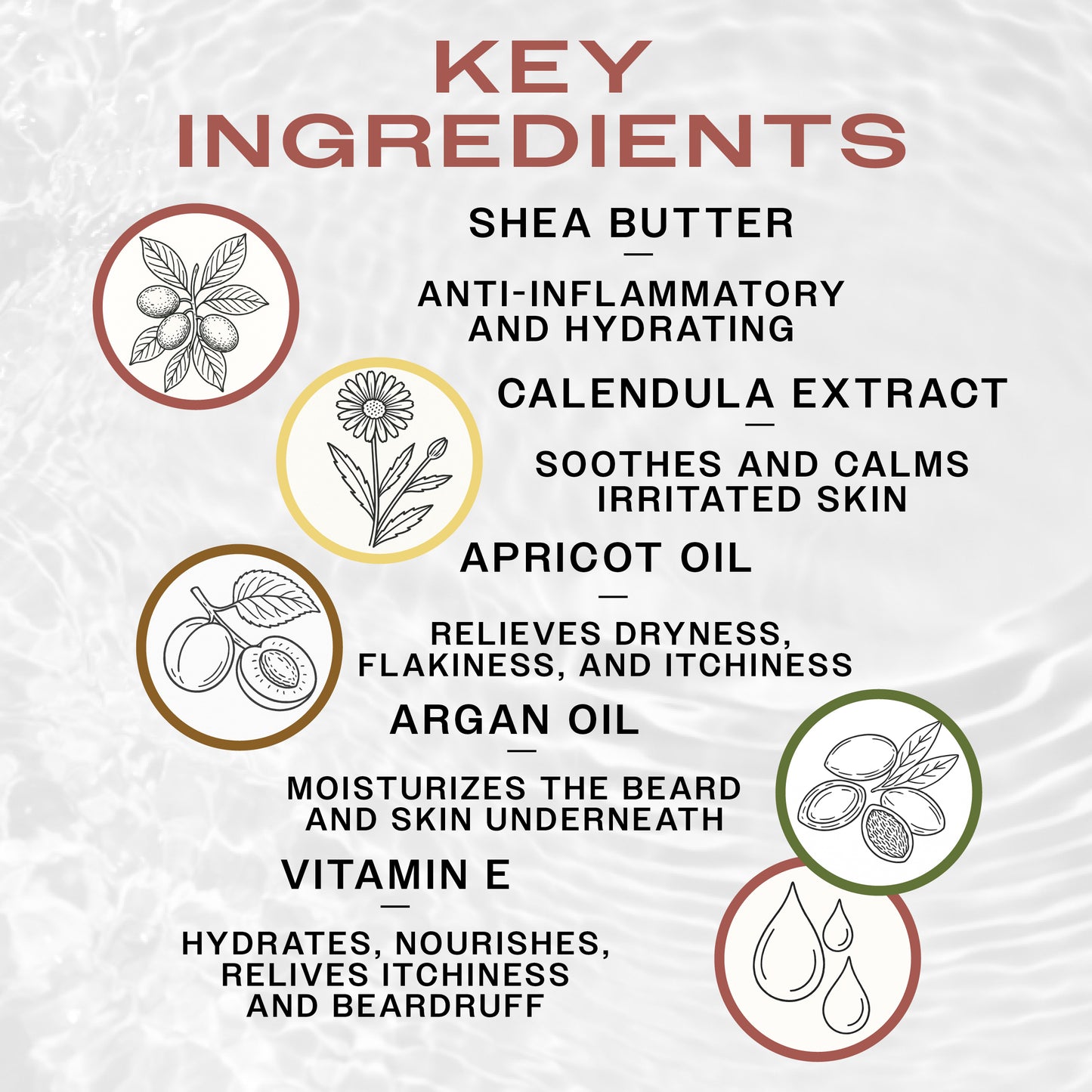 List of key ingredients of Reuzel Beard Oil with icons and descriptions on a textured white background