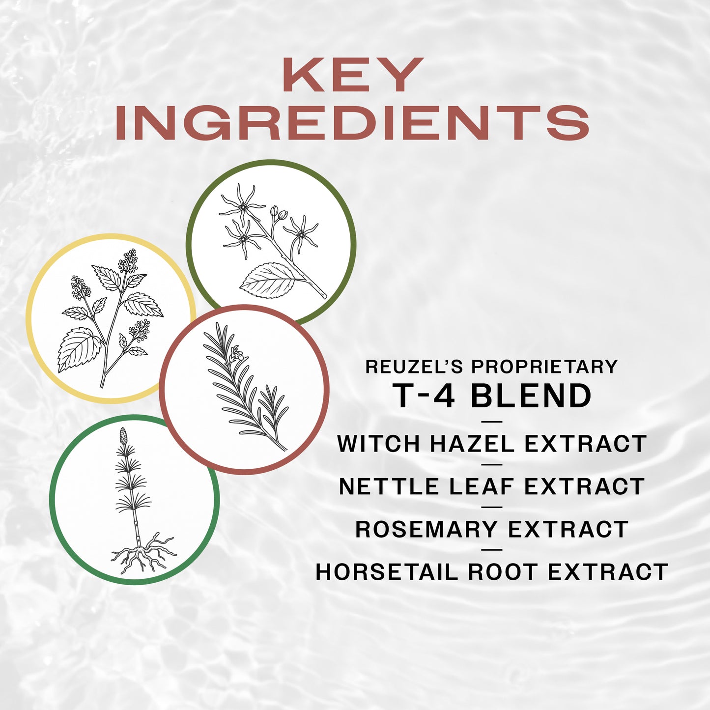 Key ingredients of Reuzel Daily Shampoo with illustrations and text on a textured white background