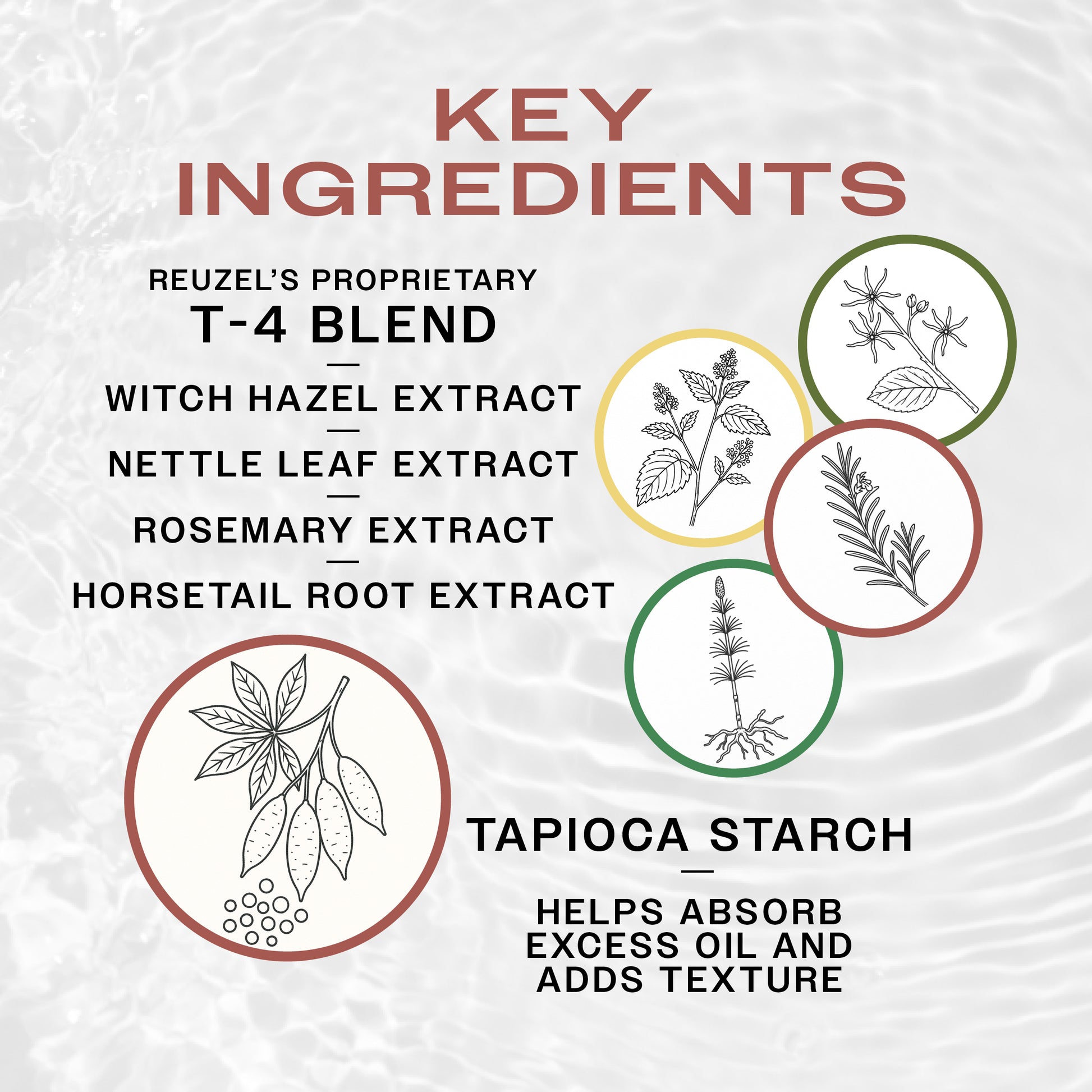 List of key ingredients of Reuzel FLASHDRY Shampoo with corresponding illustrations on a textured white background