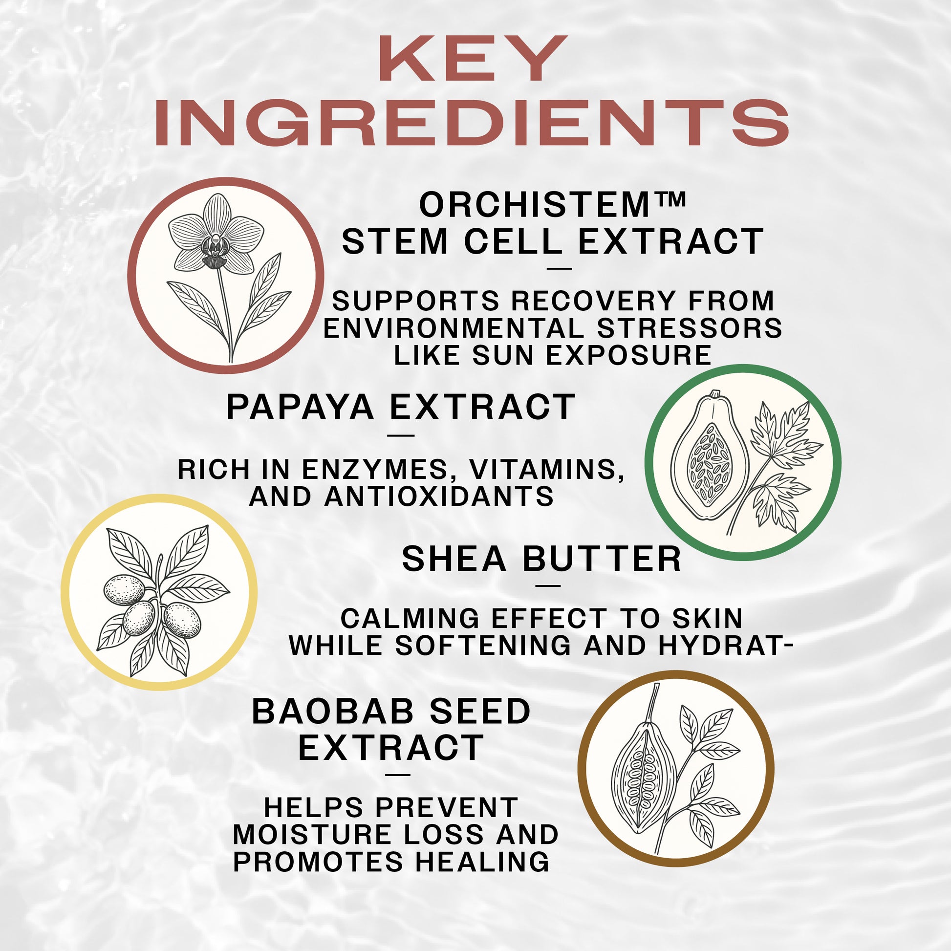 List of key ingredients of TAT HYDRABALM with illustrations and descriptions on a textured background