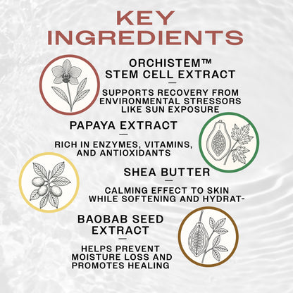List of key ingredients of TAT HYDRABALM with illustrations and descriptions on a textured background