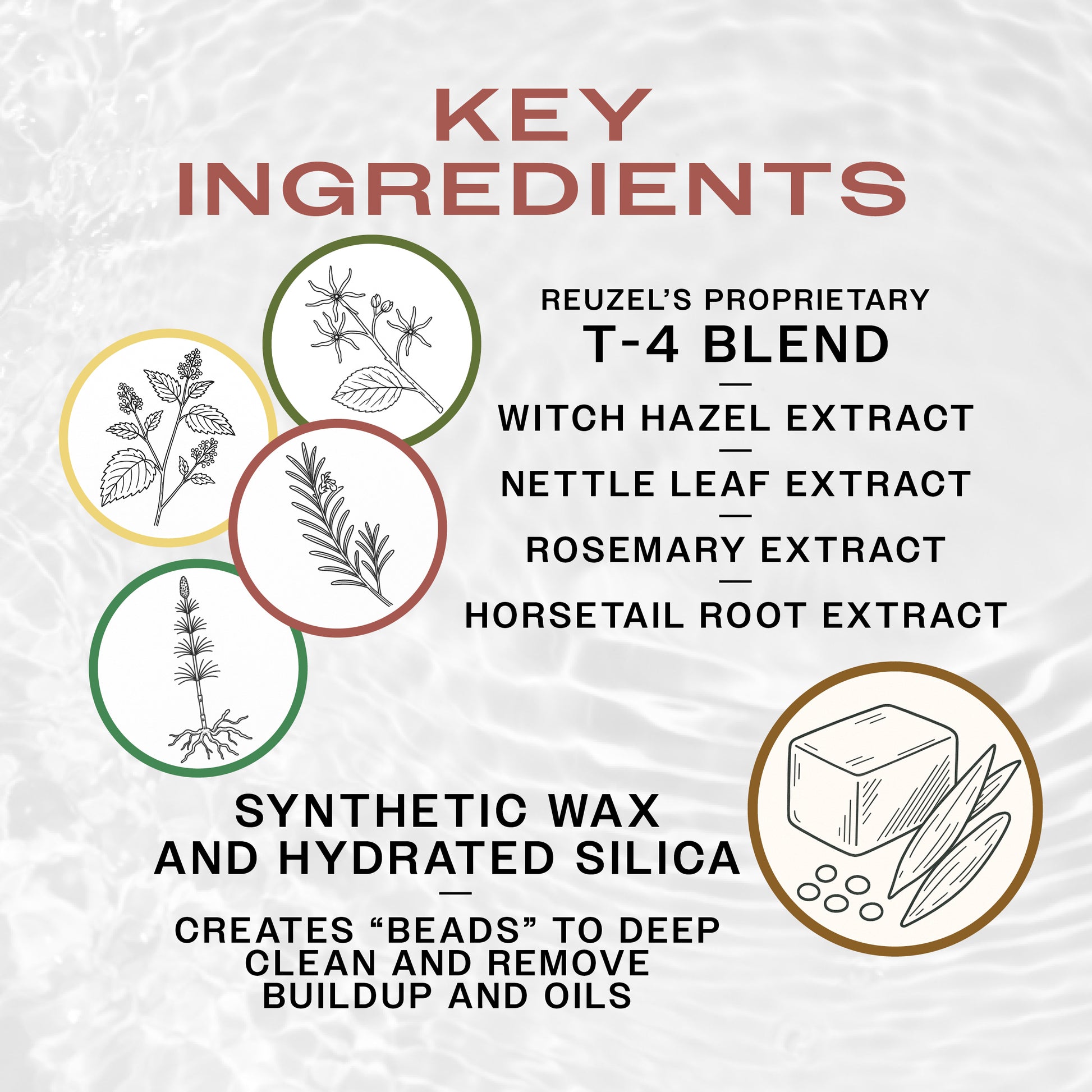 Key ingredients of Reuzel Scrub Shampoo with illustrations and text on a textured background